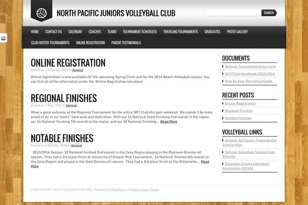 Sports-team-theme theme site design template sample