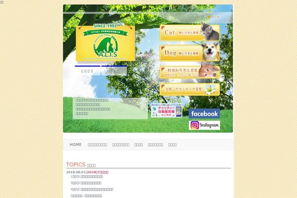 Alis theme site design template sample