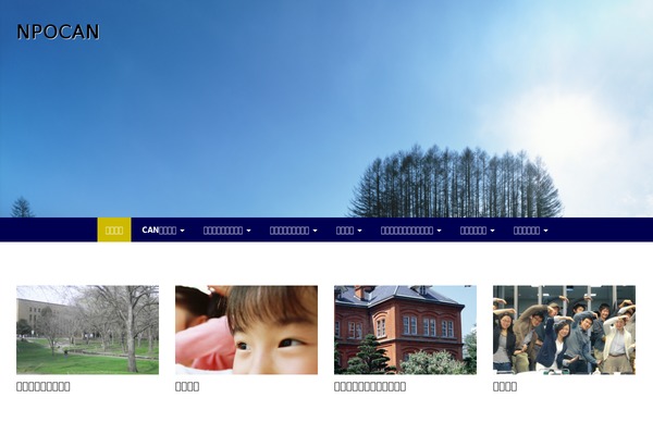 WP Simple theme site design template sample