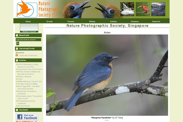 KLEO theme site design template sample