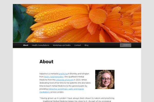Duster theme site design template sample