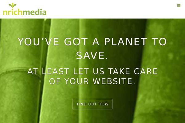 Author Pro theme site design template sample