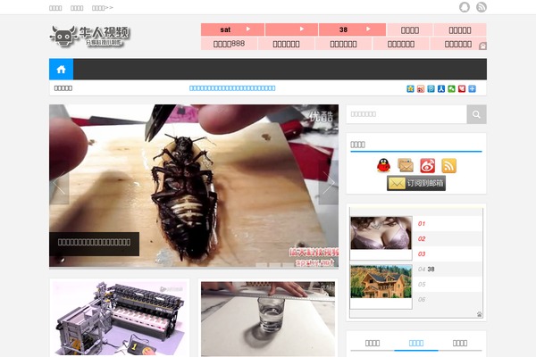 Loostrive theme site design template sample