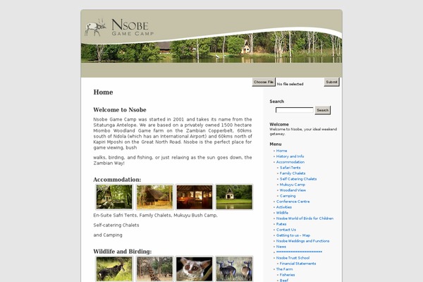 Default theme site design template sample