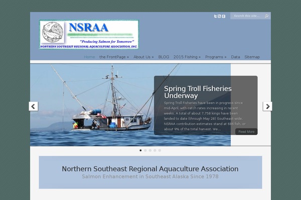 Chameleon theme site design template sample