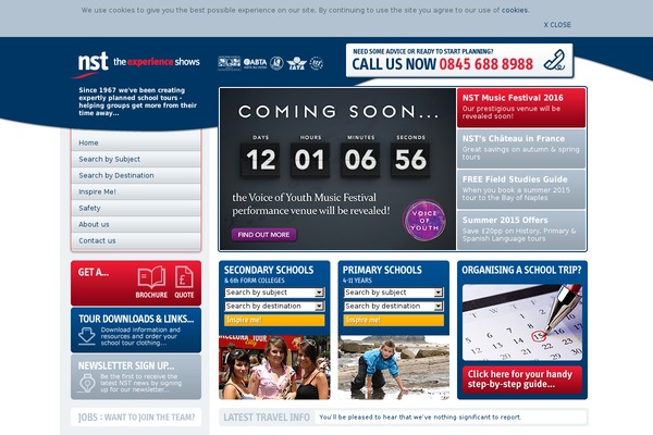 nst theme websites examples