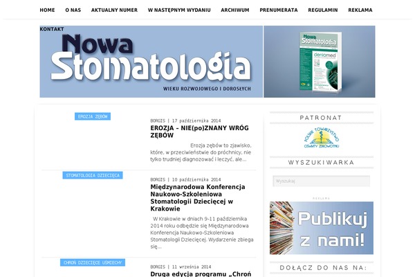 Borgis theme site design template sample