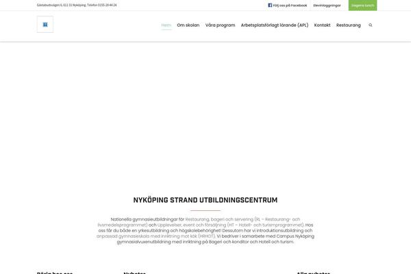 Site using Simple Facebook Page Widget & Shortcode plugin