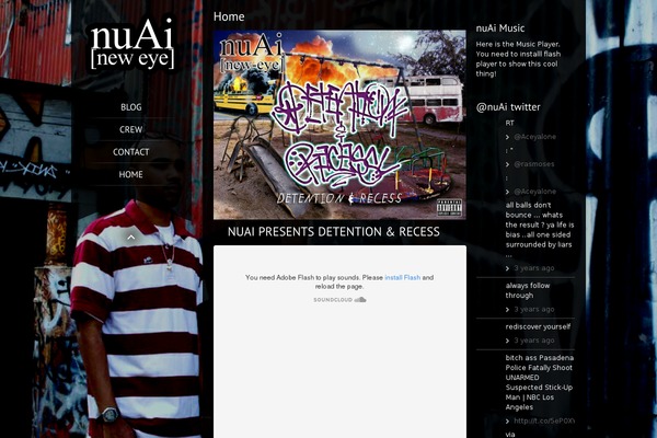Site using Flash MP3 Player plugin