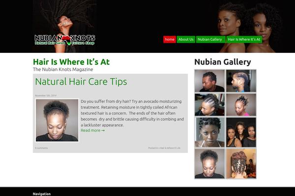 Site using WORDPRESS VIDEO GALLERY plugin