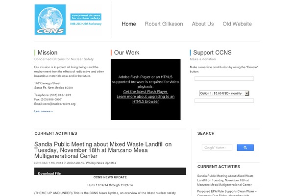 Simple Organization theme site design template sample