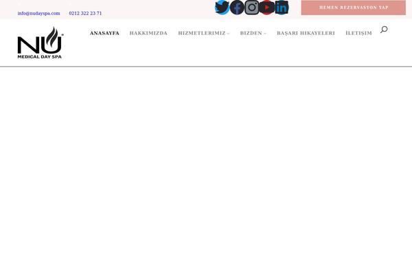 Mellis theme site design template sample