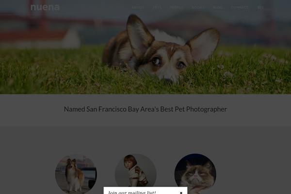 Site using Wordpress-before-after-images-slider plugin