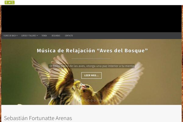 Site using Contact Form 7 Style plugin