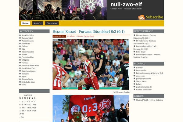 Prosumer 10 theme site design template sample