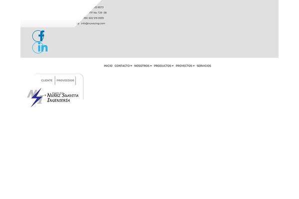 Site using Custom-scripts plugin