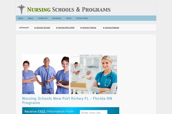 nursingschoolsrnprograms.com site used Ctr Theme