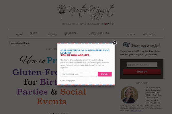 Foodie Pro theme site design template sample
