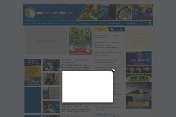 nusapenidamedia.com site used Npm
