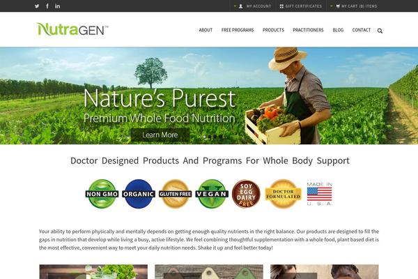 Alterna theme site design template sample