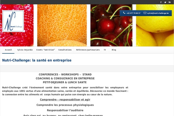 Verendus theme site design template sample