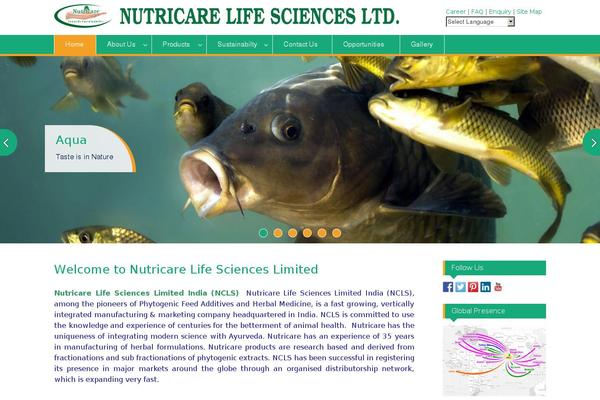 Education Hub theme site design template sample