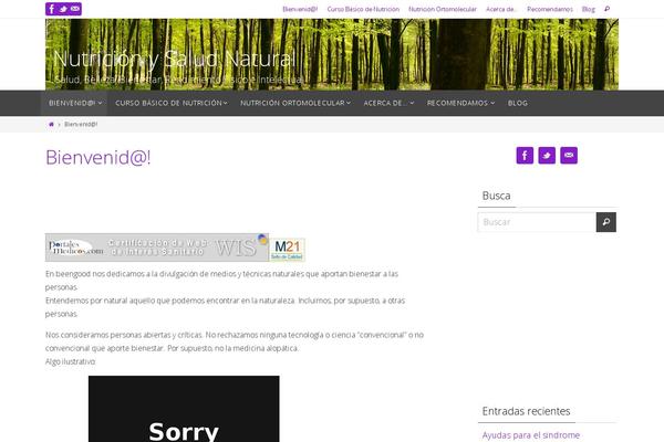 Nirvana theme site design template sample