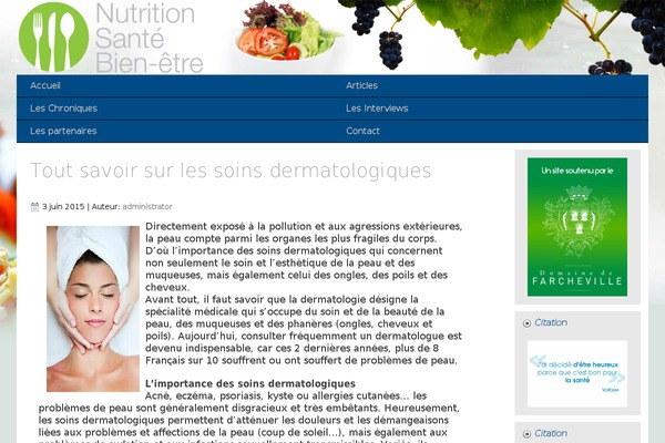 Bloggist theme site design template sample