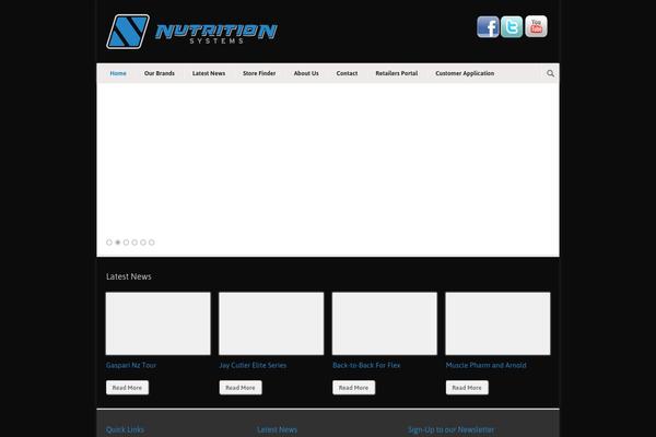 Modernize theme site design template sample