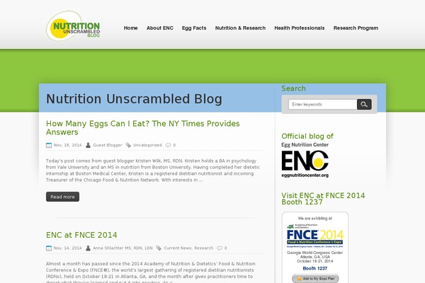 iNspiration theme site design template sample