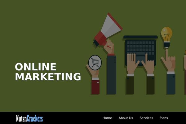 Site using Coming Soon by Supsystic plugin