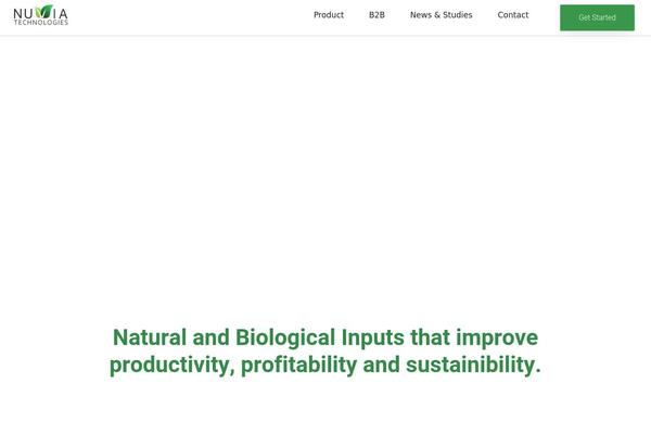 Bridge Child theme site design template sample