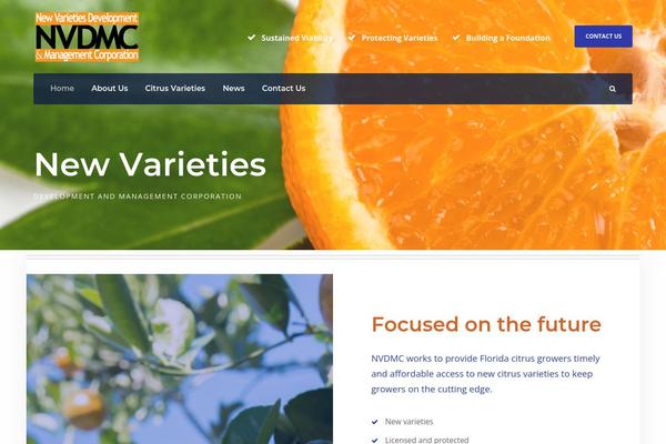 Financity theme site design template sample
