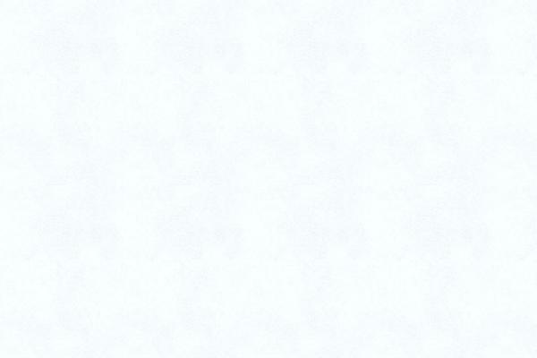 nvnacs.com site used Jarida