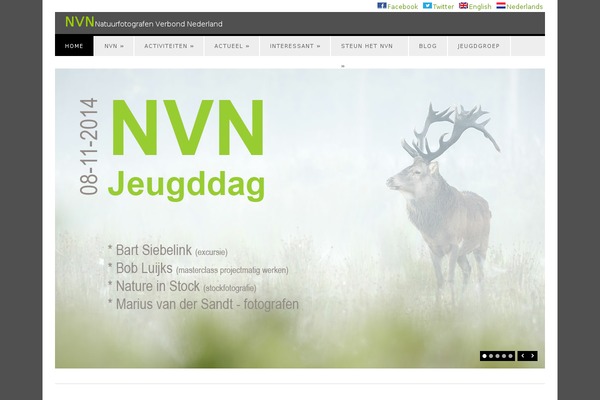 Surplus theme site design template sample