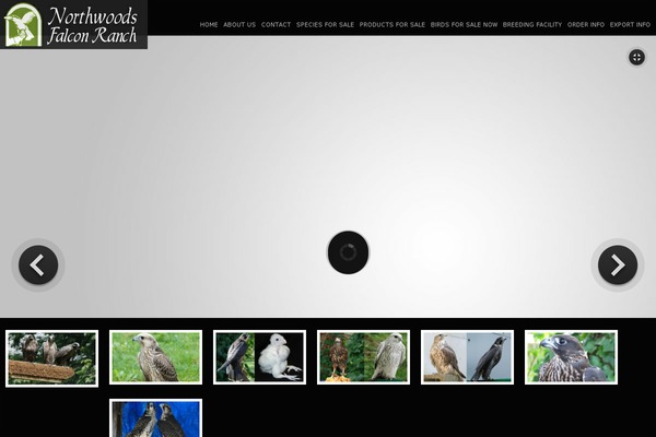 nwfalconranch.com site used Artboard_v1.0