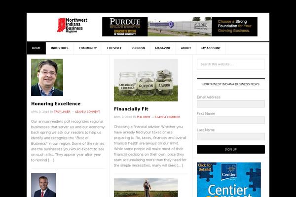 News Pro theme site design template sample