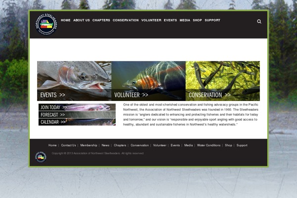 Iguana theme site design template sample