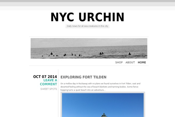 Chunk theme site design template sample