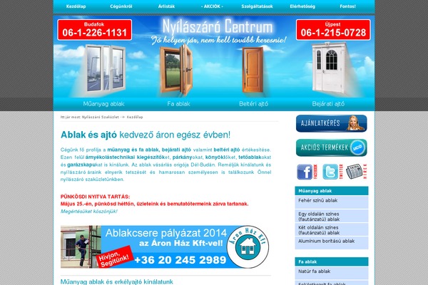 Online Marketer theme site design template sample