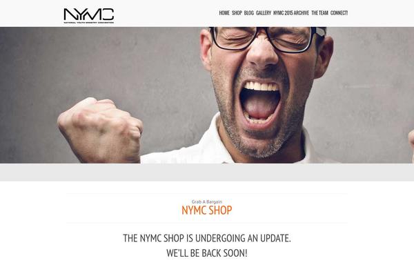 Scrn theme site design template sample