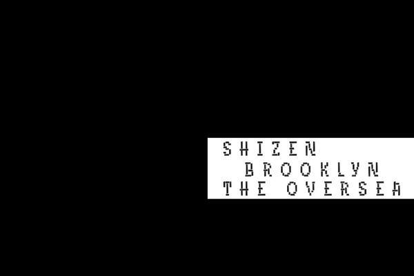nyshizen.com site used Shizen