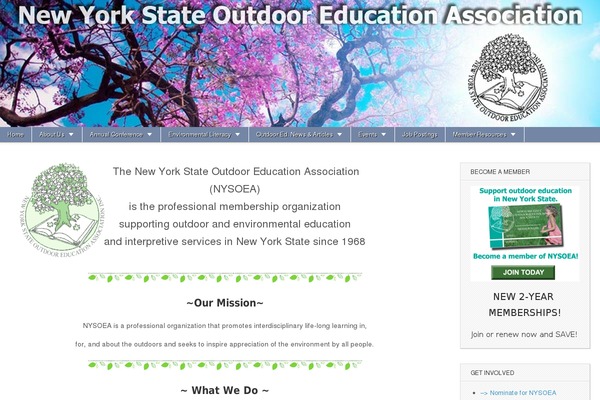 Site using Image Rotator Widget plugin