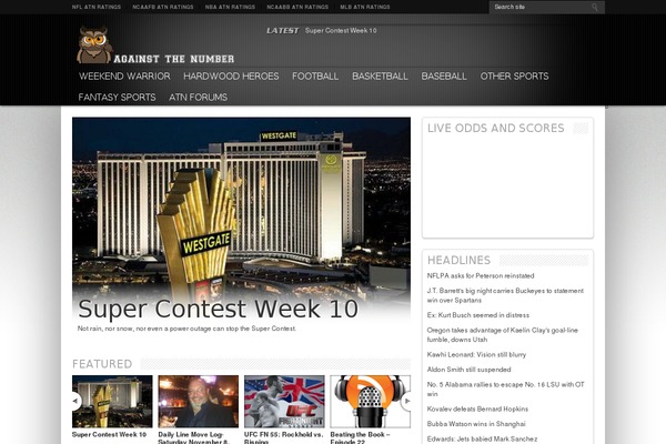 Resportsive theme site design template sample