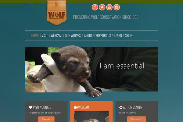 Site using Bbpowerpack plugin