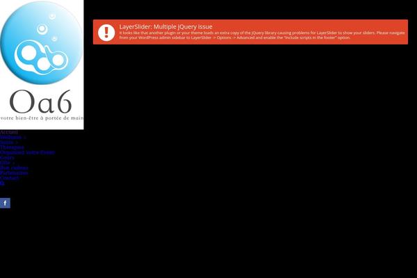 Site using Wd-mailchimp plugin