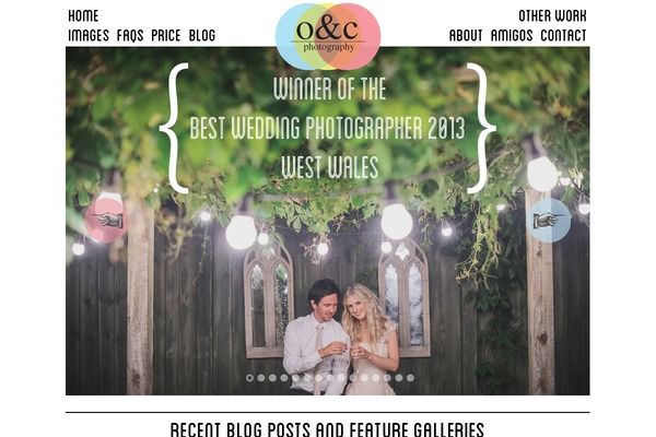 Photography theme site design template sample