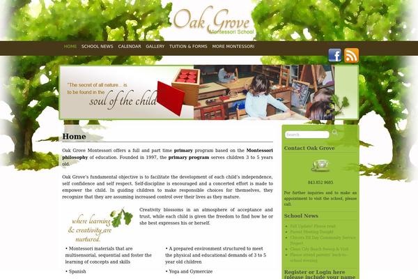 dtwChild01 theme websites examples