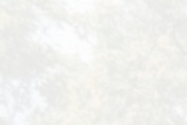 Site using Simple-calendar-fullcalendar plugin