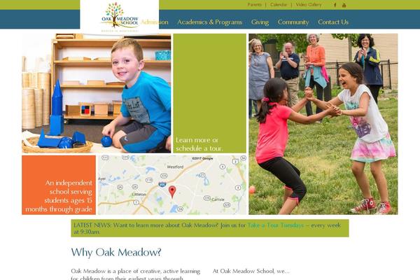 Site using Wpcf7-redirect plugin